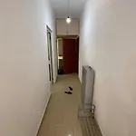 شقة Turtle - Near The - Enjoy Travel *