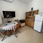 Turtle - Near The - Enjoy Travel * دراس