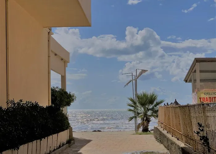 דירה Turtle - Near The - Enjoy Travel *